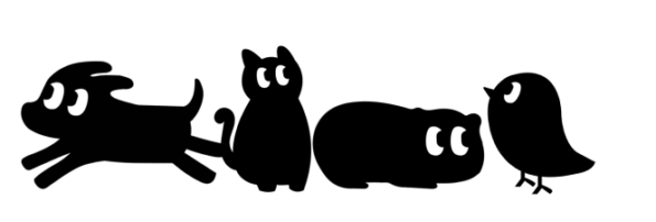 sobre nuestra tienda de mascotas