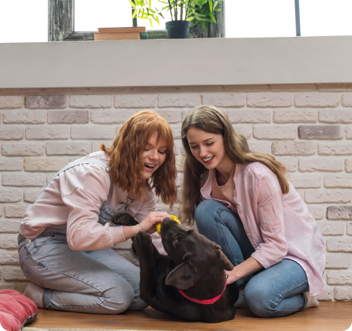 sobre nuestra tienda de mascotas